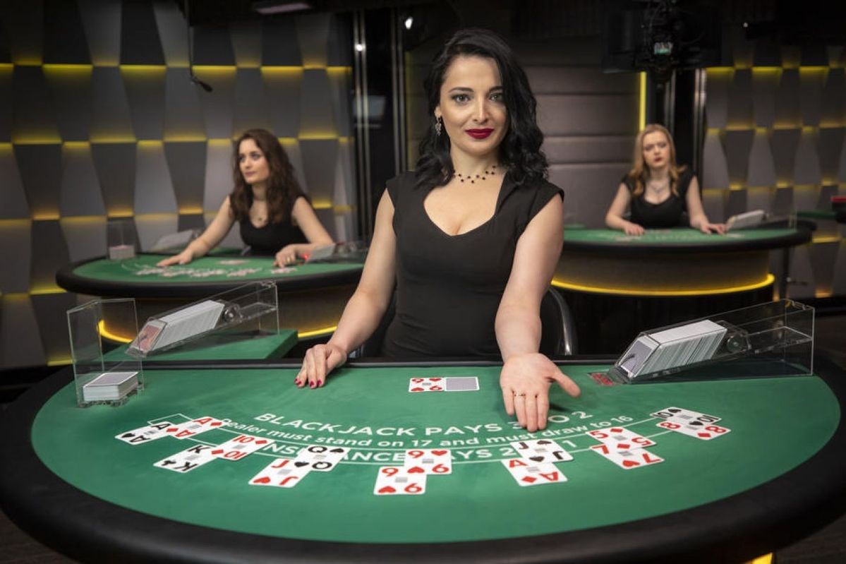 slotxo247 Live Betting